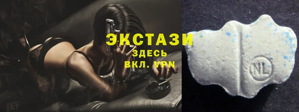 индика Киреевск