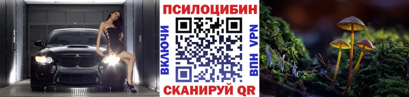 как найти   Невель  Псилоцибиновые грибы прущие грибы 