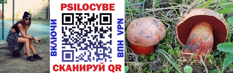 Галлюциногенные грибы GOLDEN TEACHER Невель