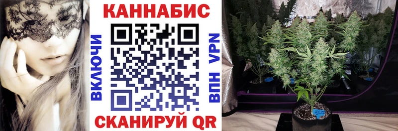Конопля индика  Невель 